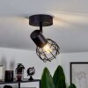 Piment Ceiling Light black, 1-light source