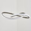 Pitasch Pendant Light LED matt nickel, 1-light source