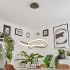 Pitasch Pendant Light LED matt nickel, 1-light source