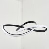 Pitasch Pendant Light LED black, 1-light source