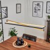 Rung Pendant Light LED black, 1-light source