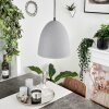 Bakou Pendant Light grey, 1-light source