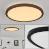 Tamesch Ceiling Light LED black, 1-light source