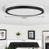 Tamesch Ceiling Light LED black, 1-light source