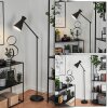 Vijes Floor Lamp black, 1-light source