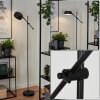 Camori Floor Lamp black, 1-light source