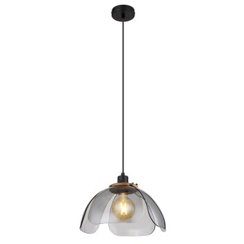 Globo DAWAR Pendant Light black, 1-light source