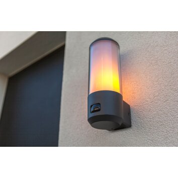 Lutec Heros Outdoor Wall Light anthracite, 1-light source, Motion sensor