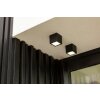 Lutec Gemini outdoor ceiling light LED anthracite, 1-light source