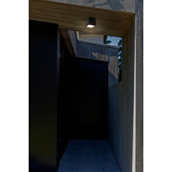 Lutec Gemini outdoor ceiling light LED anthracite, 1-light source