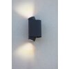Lutec Cypres Outdoor Wall Light anthracite, 2-light sources