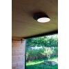 Lutec Goleta Outdoor Wall Light LED black, 1-light source