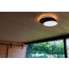 Lutec Goleta Outdoor Wall Light LED black, 1-light source