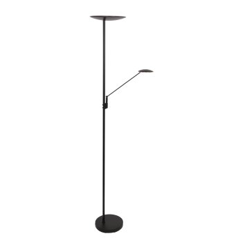 Steinhauer Daphne UpLighter LED black, 2-light sources