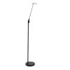 Steinhauer Daphne Floor Lamp LED black, 1-light source