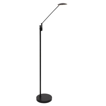Steinhauer Daphne Floor Lamp LED black, 1-light source