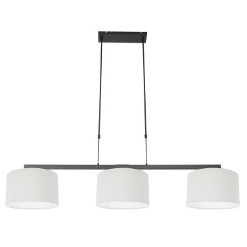 Steinhauer Stang Pendant Light black, 3-light sources
