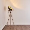Floor Lamp Tholen brown, 1-light source