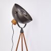 Floor Lamp Tholen brown, 1-light source