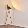 Floor Lamp Tholen brown, 1-light source