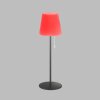 SCHÖNER WOHNEN-Kollektion Talent Table lamp LED anthracite, 1-light source, Remote control, Colour changer