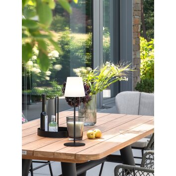 SCHÖNER WOHNEN-Kollektion Talent Table lamp LED anthracite, 1-light source, Remote control, Colour changer