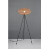 Trio Hedda Floor Lamp black, 1-light source