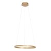 Steinhauer Ringlux Pendant Light LED gold, 2-light sources