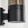 Tolsona Outdoor Wall Light black, 1-light source