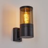 Tolsona Outdoor Wall Light black, 1-light source