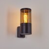 Tolsona Outdoor Wall Light black, 1-light source