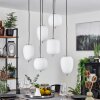 Verbania Pendant Light matt nickel, 6-light sources