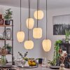 Verbania Pendant Light matt nickel, 6-light sources