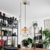 Calapa Pendant Light brass, 1-light source