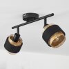 Cottard Ceiling Light black, 2-light sources