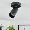 Trutielle Ceiling Light black, 1-light source