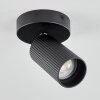 Trutielle Ceiling Light black, 1-light source