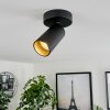 Trutielle Ceiling Light black, 1-light source