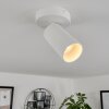 Trutielle Ceiling Light white, 1-light source