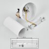 Trutielle Ceiling Light white, 1-light source