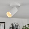 Trutielle Ceiling Light white, 1-light source
