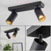 Trutielle Ceiling Light black, 2-light sources