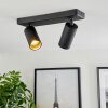 Trutielle Ceiling Light black, 2-light sources
