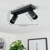 Trutielle Ceiling Light black, 2-light sources