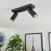 Trutielle Ceiling Light black, 2-light sources