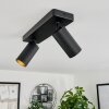 Trutielle Ceiling Light black, 2-light sources