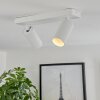 Trutielle Ceiling Light white, 2-light sources