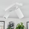 Trutielle Ceiling Light white, 2-light sources