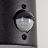 Tolsona Outdoor Wall Light black, 1-light source, Motion sensor