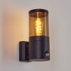Tolsona Outdoor Wall Light black, 1-light source, Motion sensor